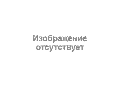 Risanenaydenow